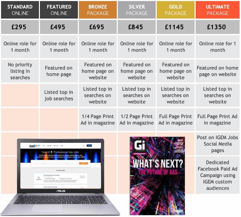 IGEMJobs Price Matrix.jpg